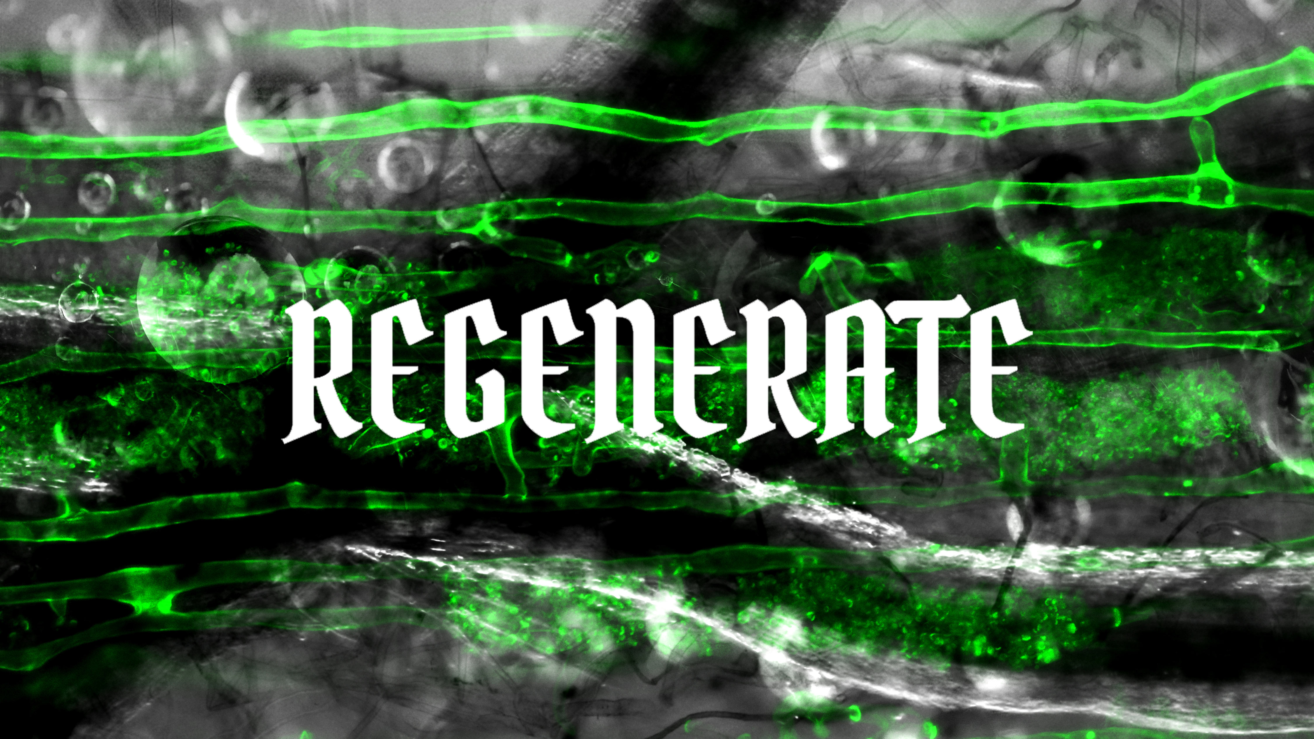 Regenerate